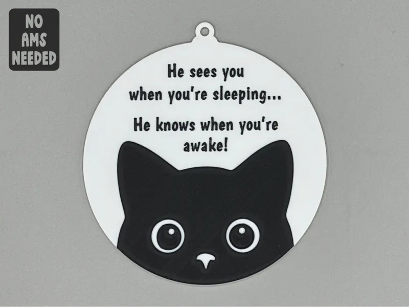 Cat Sees You When You're Sleeping Ornament No AMS