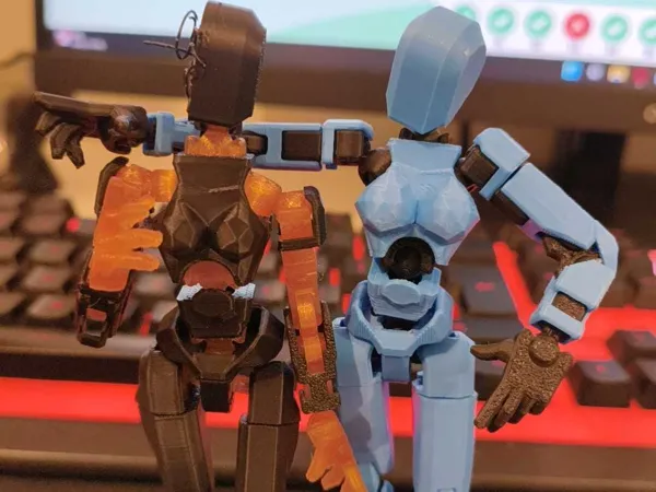 https://makerworld.bblmw.com/makerworld/model/USc9d1f8796dc908/design/6b4272445eb93681.png