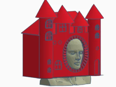 Funny House Hat