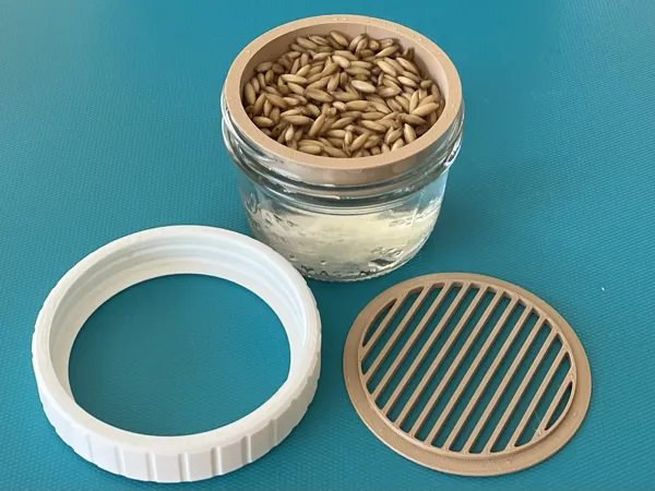 Kit de culture hydroponique d'herbe à chat en bocal