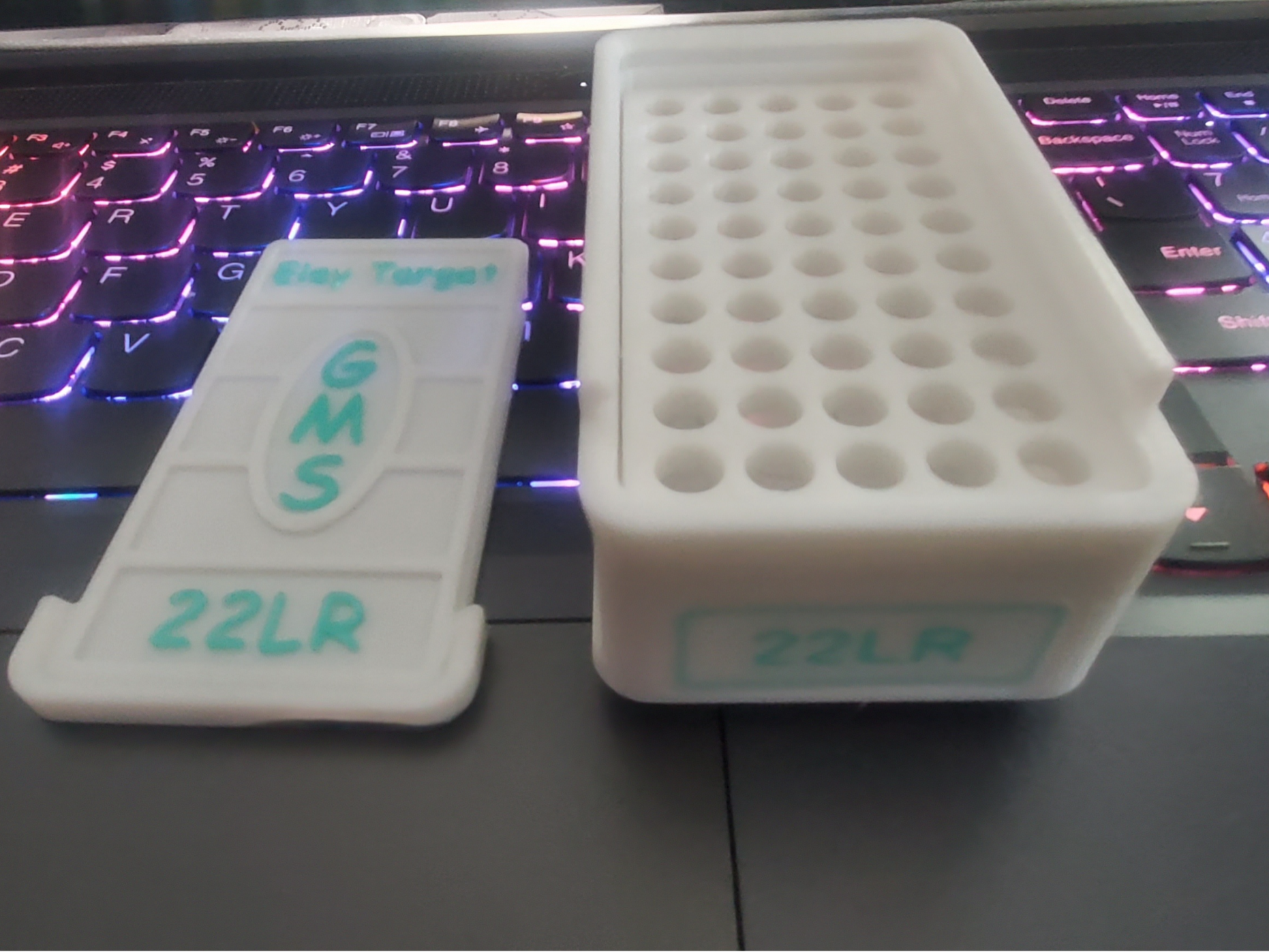 Customizable 22LR 50rd Ammo Box 