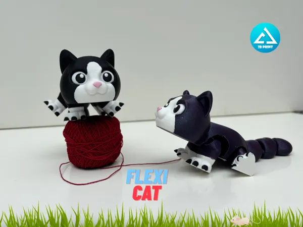 https://makerworld.bblmw.com/makerworld/model/USc9debe6cb2bcdf/design/2025-09-14_fb03baa8d05cd8.png