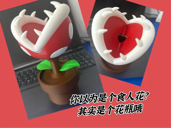 https://makerworld.bblmw.com/makerworld/model/USc9e2cd6d85879a/design/2025-03-28_3c04740bb3e22.jpg
