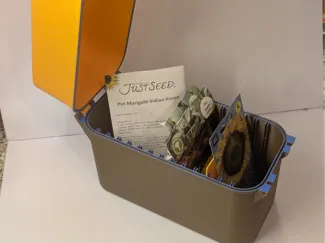 Seed Box
