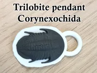 0.08mm layer, 4 walls, 15% infill
