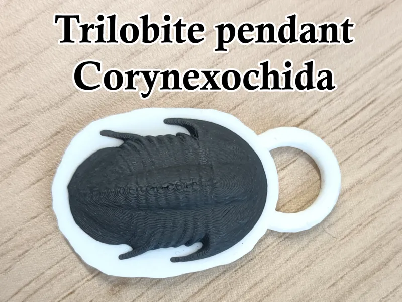 Trilobite pendant Corynexochida