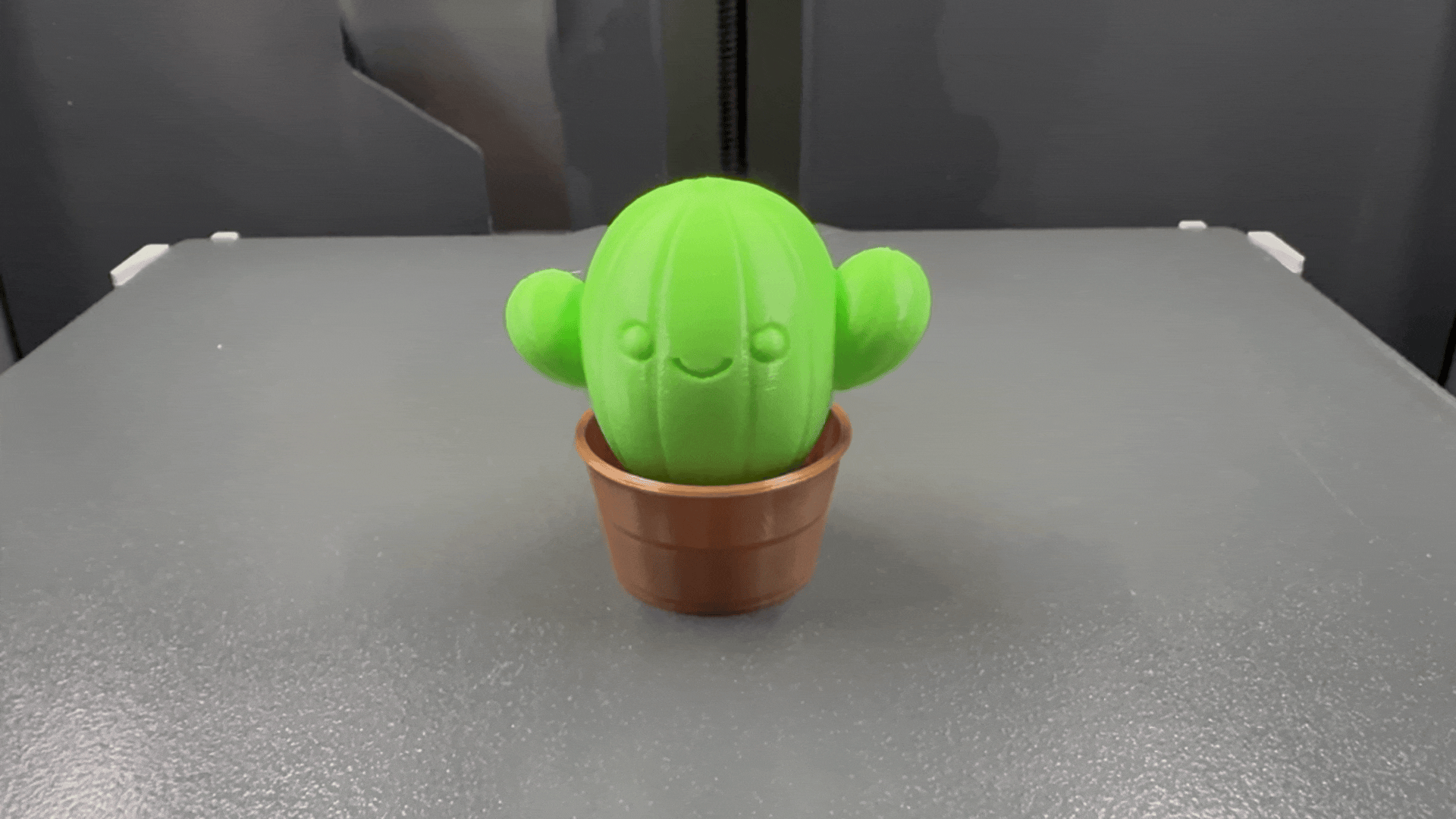 Cute Cactus Clicker Fidget