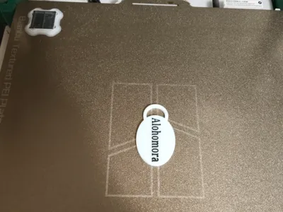 NFC Alohomora Keychain