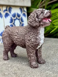 Figurine de chien d'eau espagnol — photo 8