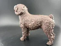 Figurine de chien d'eau espagnol — photo 7
