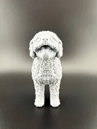 Figurine de chien d'eau espagnol — photo 5