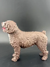 Figurine de chien d'eau espagnol — photo 10