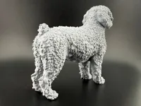Figurine de chien d'eau espagnol — photo 6