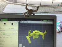 0.12mm layer, 2 walls, 15% infill