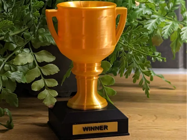 https://makerworld.bblmw.com/makerworld/model/USc9f54ac920efc6/design/2025-09-18_d5192c53e8f0a8.jpg
