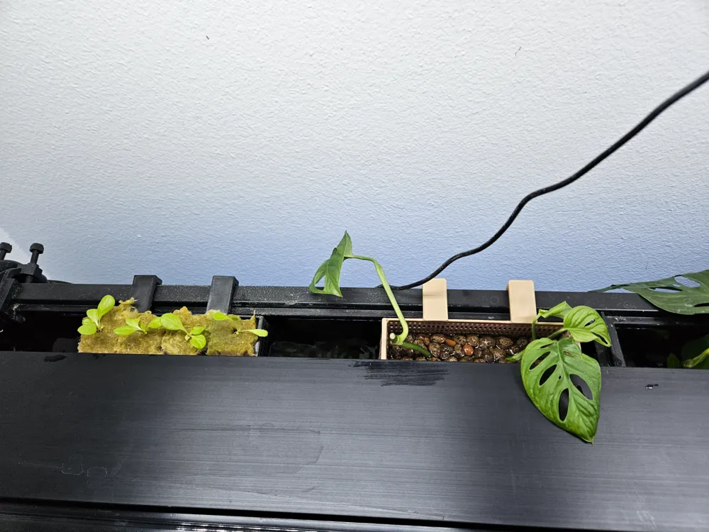 Aquarium plant basket by lazybeams MakerWorld