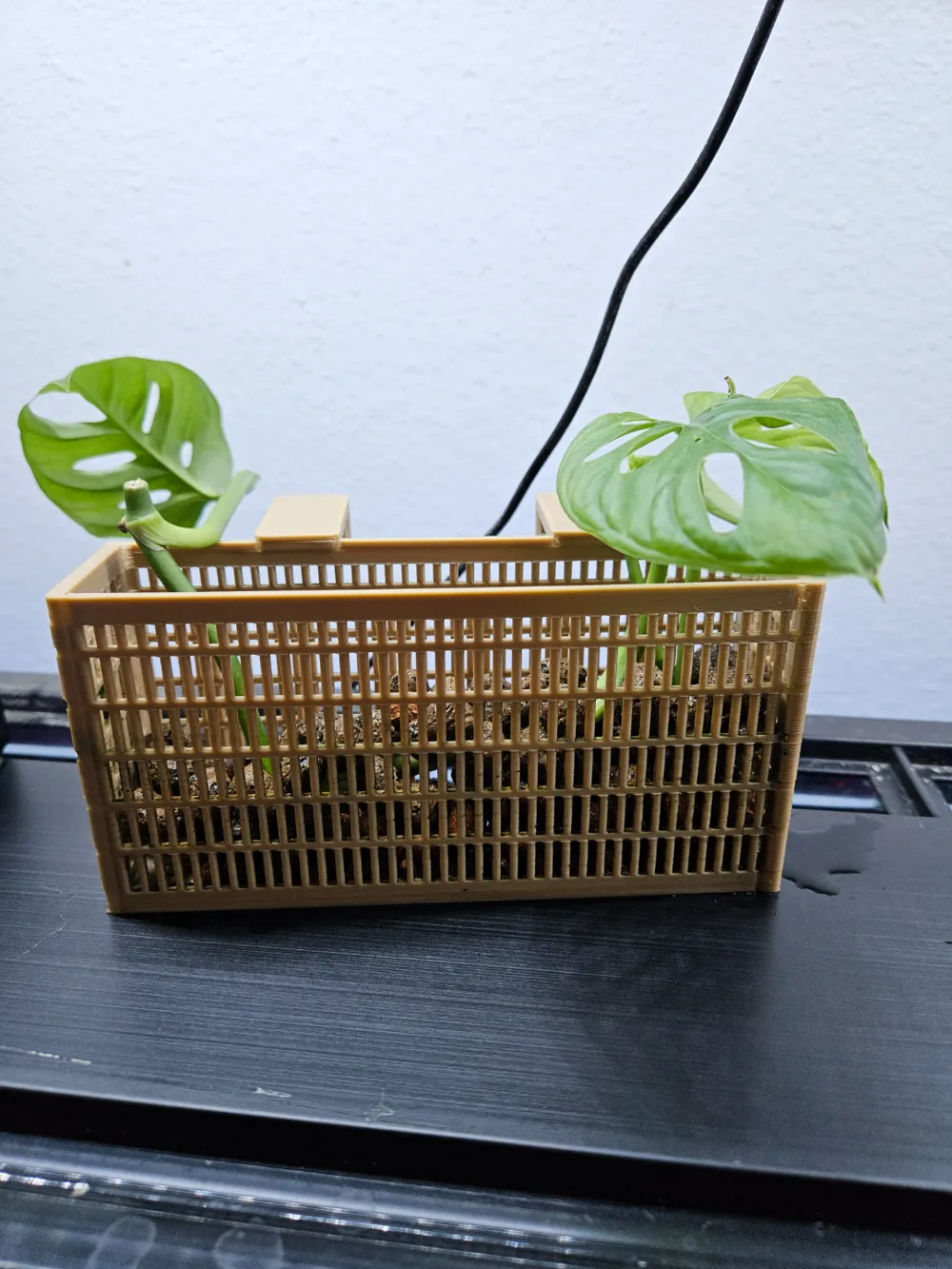Aquarium plant basket by lazybeams MakerWorld
