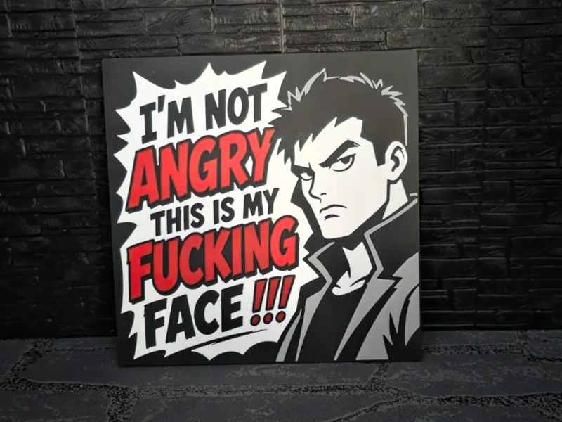 Magnet Schild " I´m not Angry " men