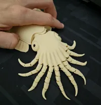 0.16mm layer, 2 walls, 5% infill