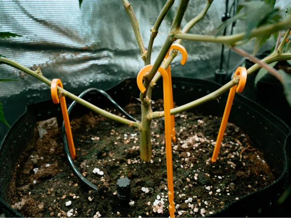 https://makerworld.bblmw.com/makerworld/model/USca033b947b0799/design/2025-05-03_1450349904d9a8.jpg