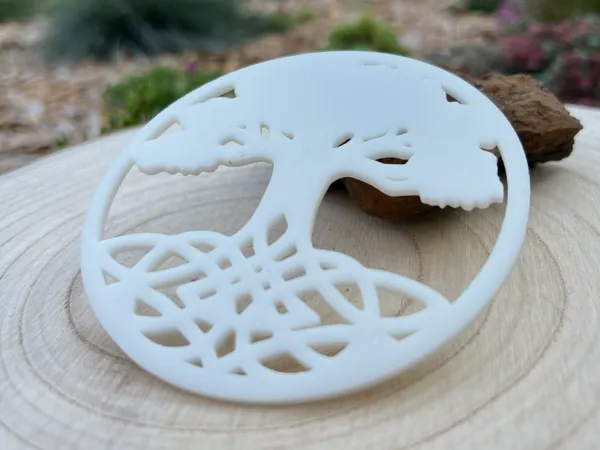https://makerworld.bblmw.com/makerworld/model/USca071928808bb/design/2024-12-10_097f2da68074c.jpg