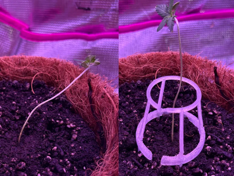 Seedling Crib 1x/3x/5x/9x