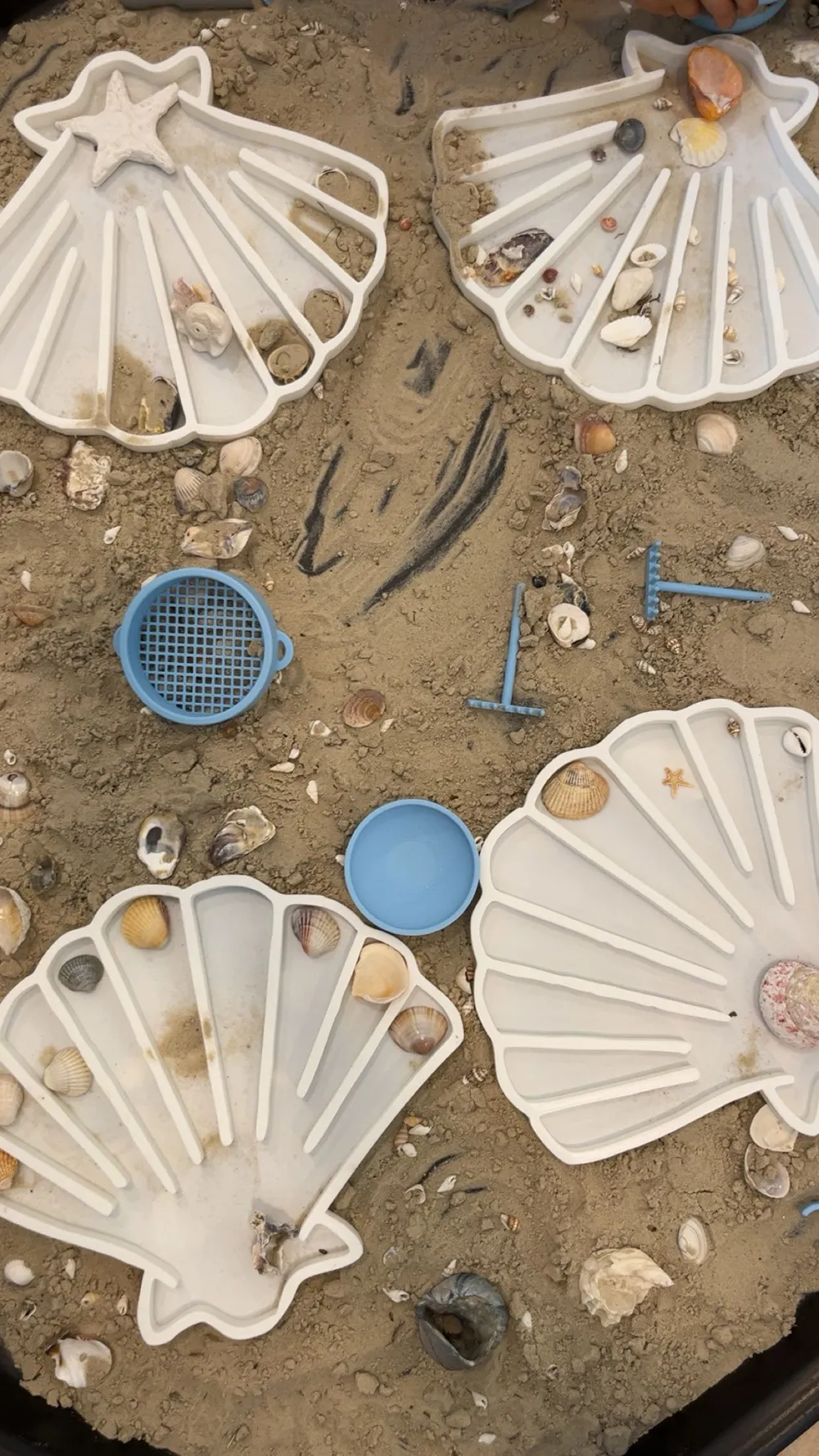 sensory play shell white by Silvia MakerWorld: Download Free 3D Models