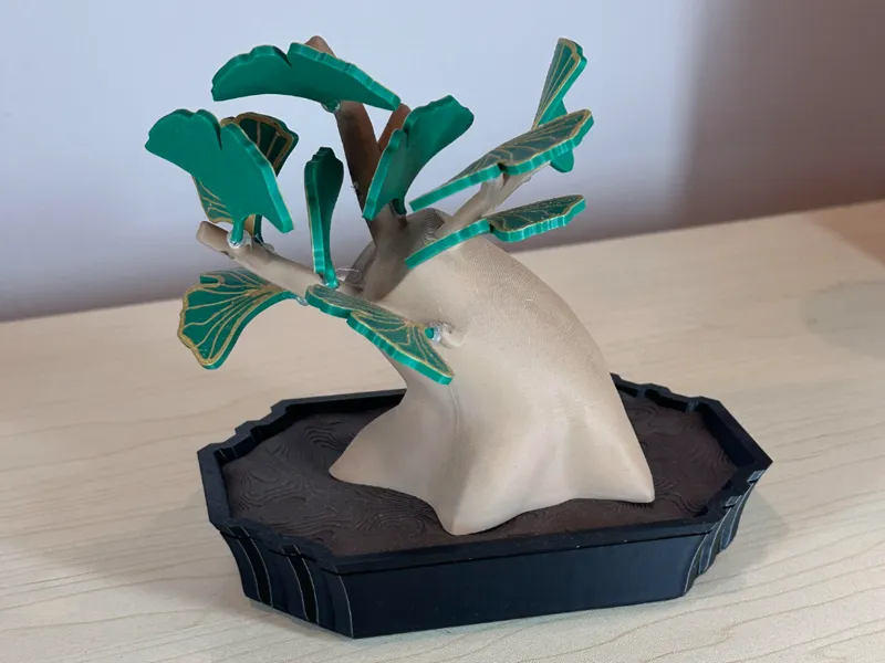 Trimmed Ginkgo Bonsai Tree