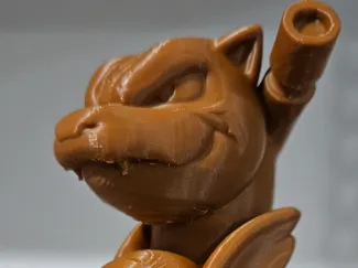 Pokemon totem pole squirtle