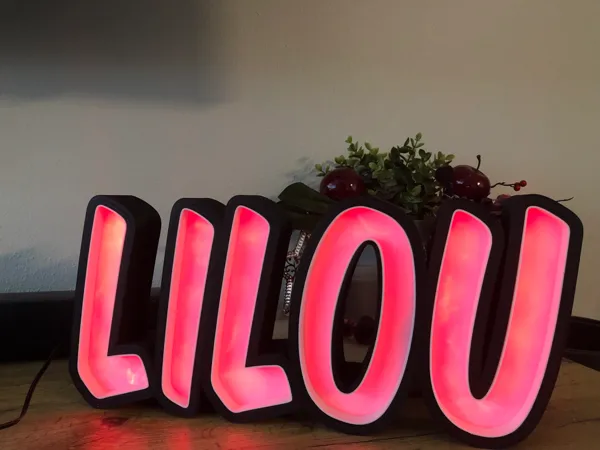 https://makerworld.bblmw.com/makerworld/model/USca0d9cb44fcb26/design/2024-01-04_4fef24101cb03.jpeg