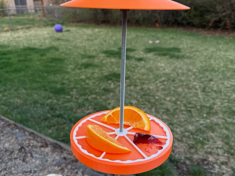 Oriole Orange Slice Feeder
