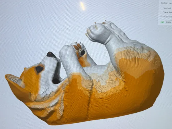https://makerworld.bblmw.com/makerworld/model/USca135a2c9f0b92/design/10fd1115fe37f9dc.jpg