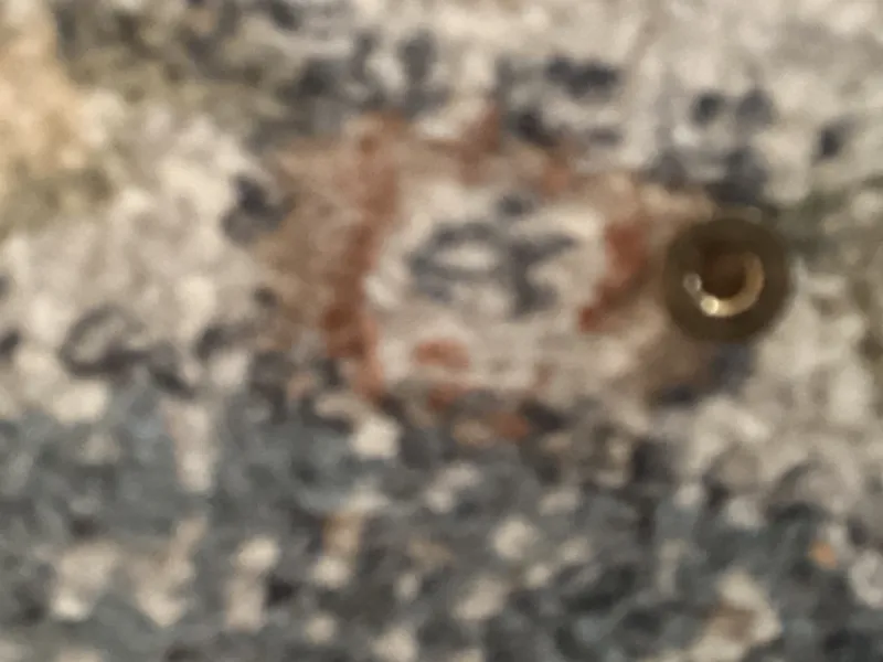 Mbot ranger flange bearing