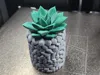 Small plant