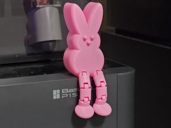 https://makerworld.bblmw.com/makerworld/model/USca19a0a78fde22/design/51544e06752c6eaf.jpg