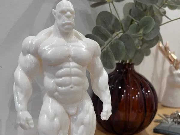 https://makerworld.bblmw.com/makerworld/model/USca1a017d11c14c/design/88db05814c2a29ba.jpg