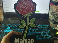 0.08mm layer, 2 walls, 15% infill