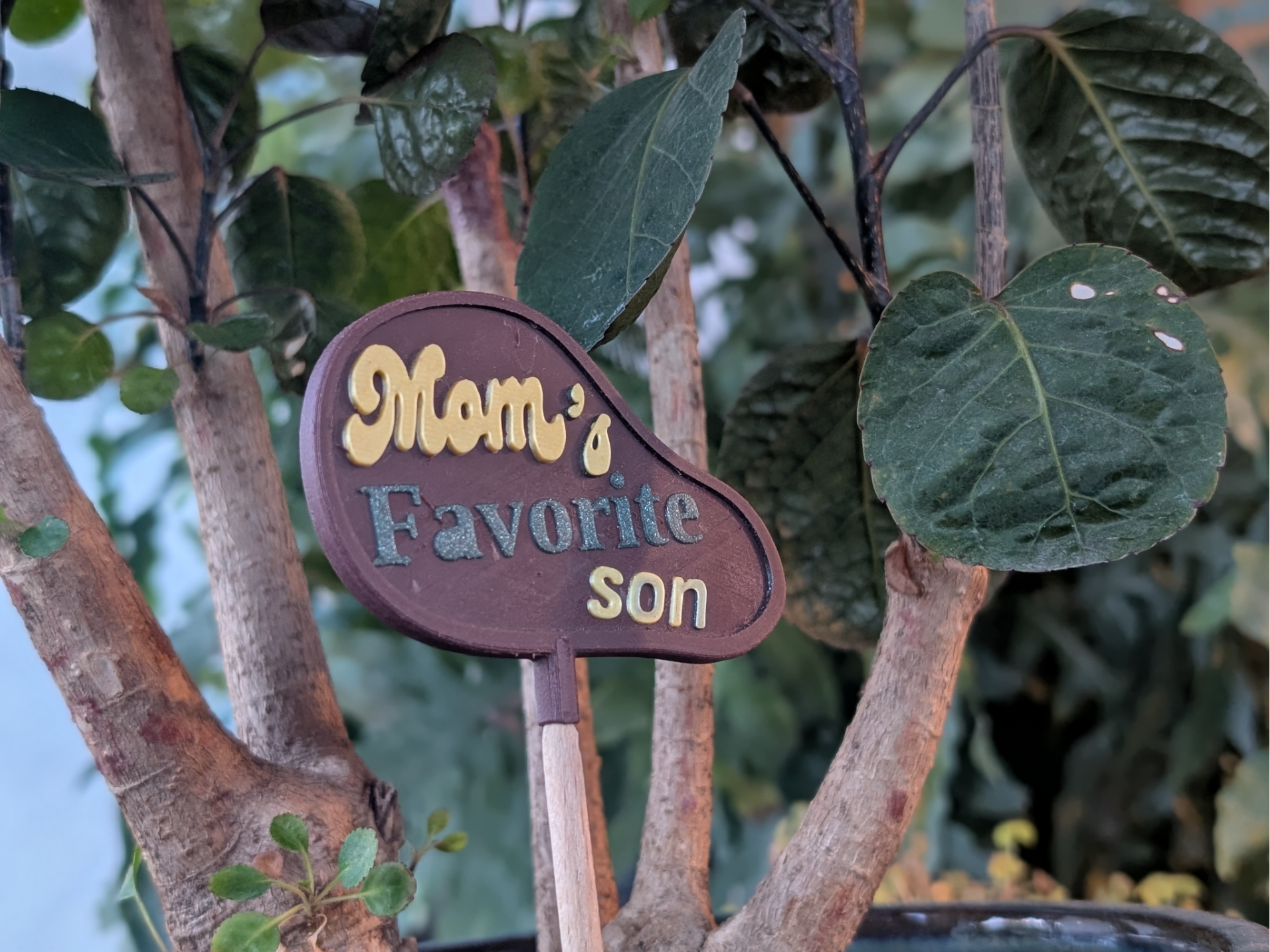 Mom's Favorite Son/Daughter — Plant Stake