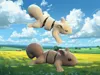 Squirrel Flexi