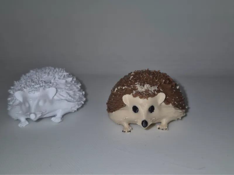 Cute Hedgehog