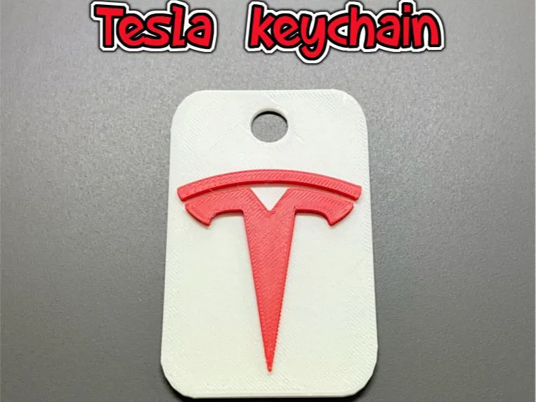Tesla keychain