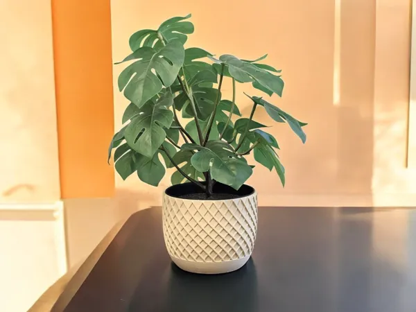 https://makerworld.bblmw.com/makerworld/model/USca262ae90349a8/design/2025-02-26_e4ee5e878bac7.jpg