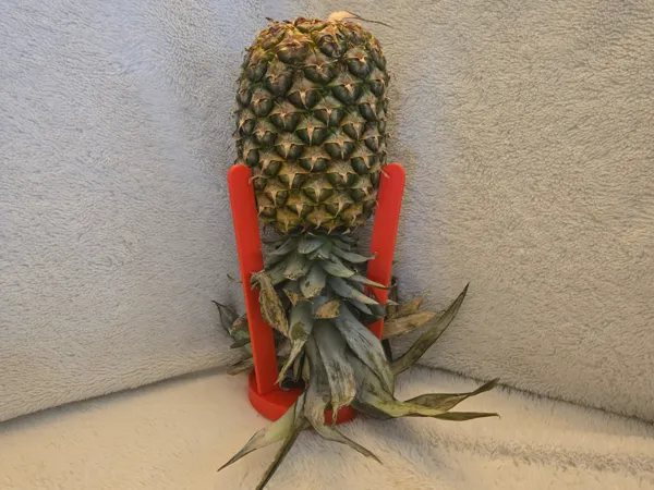 Support pour ananas tête en bas