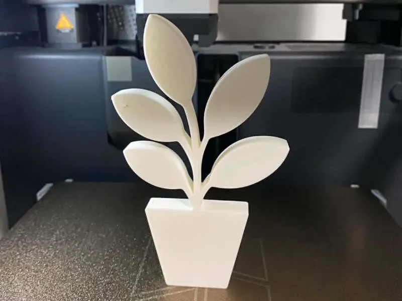 Plant