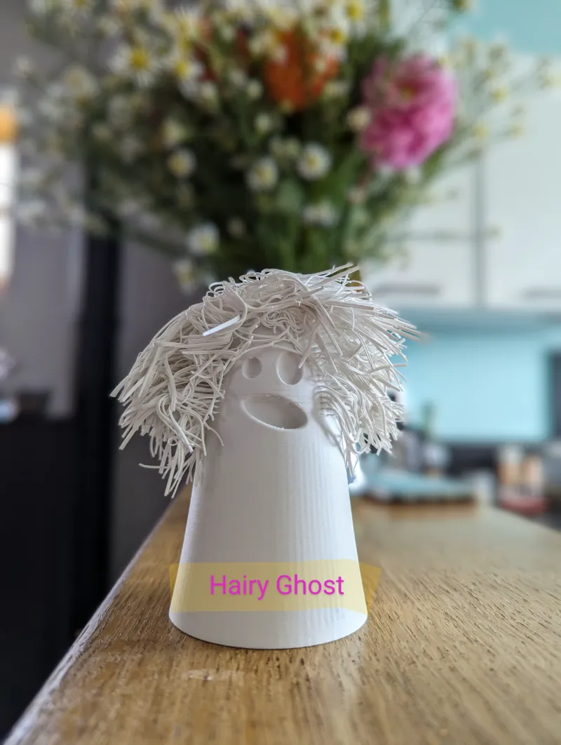 The wonderful Hairy Ghost