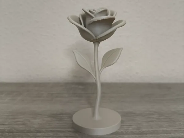 https://makerworld.bblmw.com/makerworld/model/USca3969965d2698/design/2026-01-06_6a6d8f90155628.jpg