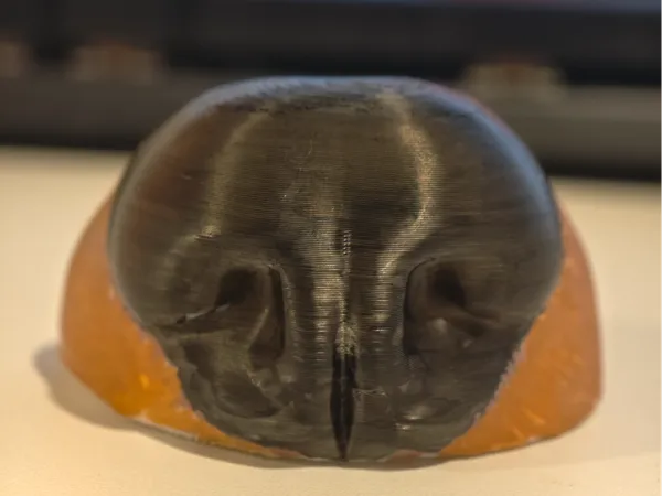 https://makerworld.bblmw.com/makerworld/model/USca43710ad6344a/design/2025-07-13_b31c6597a305d8.jpg