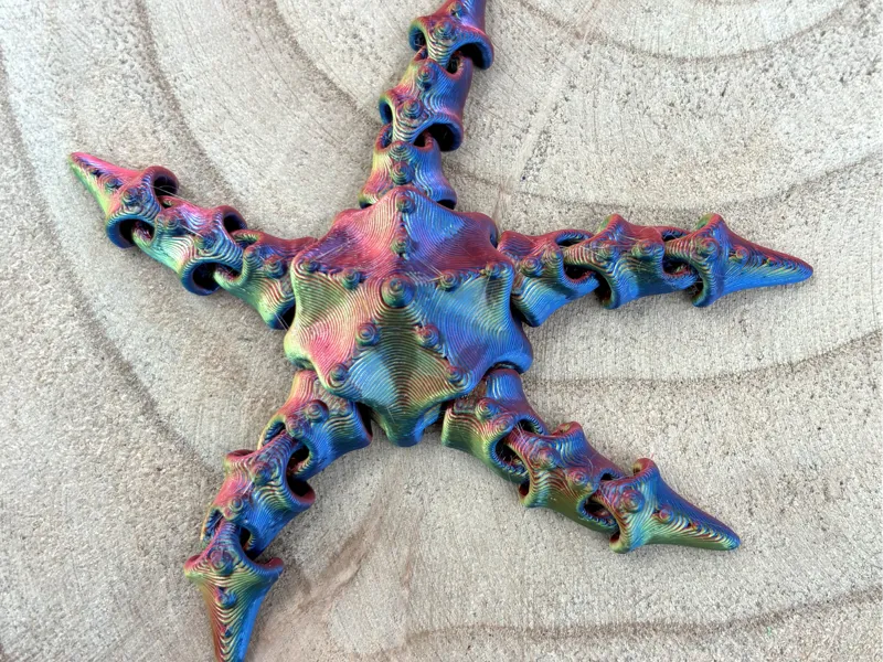 Articulated Starfish / Estrella de mar articulada