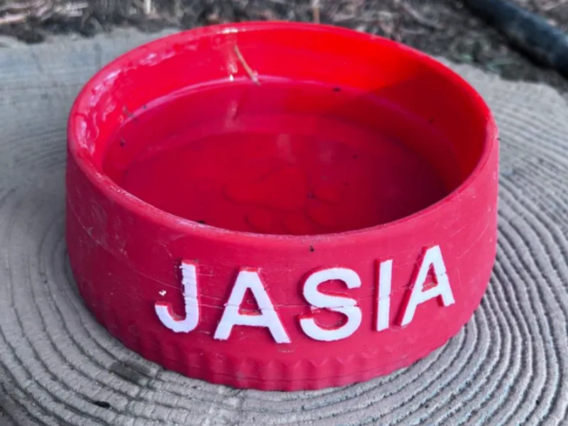 DOG BOWL WITH NAME