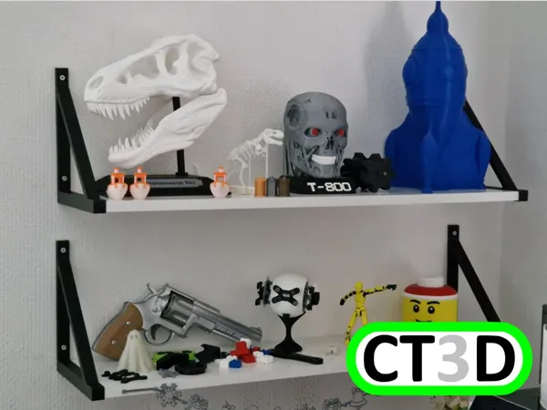 https://makerworld.bblmw.com/makerworld/model/USca48467835bb98/design/2024-01-16_8e1f03108d159.jpg